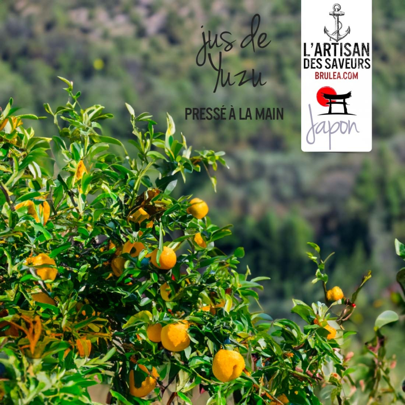 Jus de Yuzu pressé à la main - 100ml
