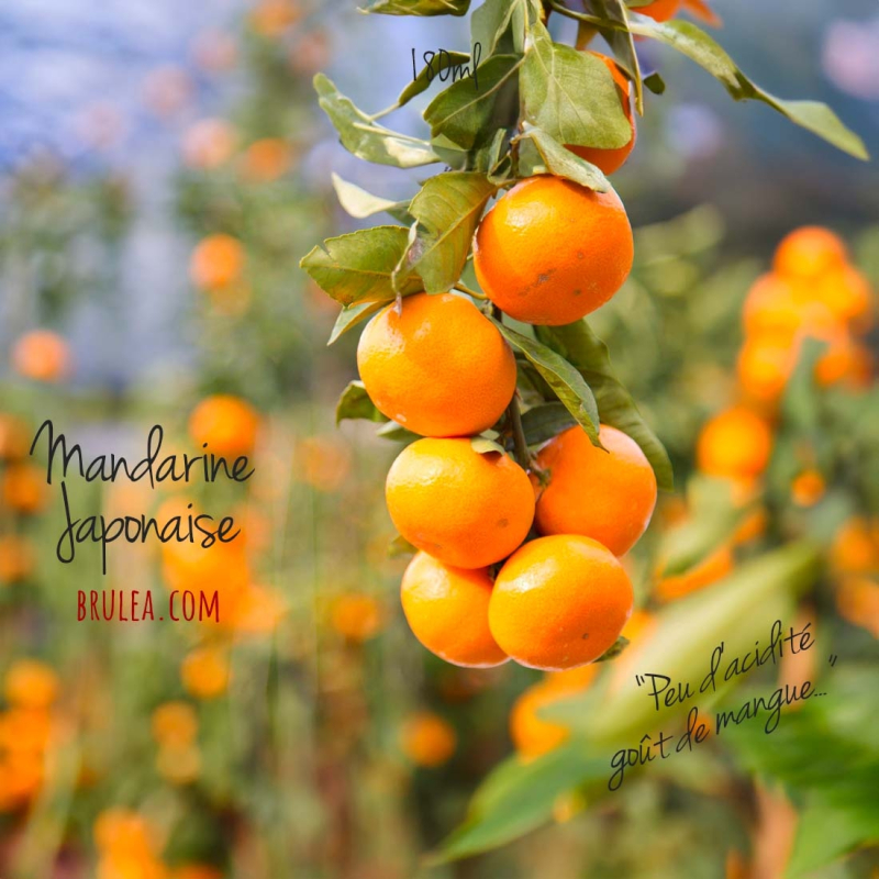 Jus de Mikan 100% - 180ml 2