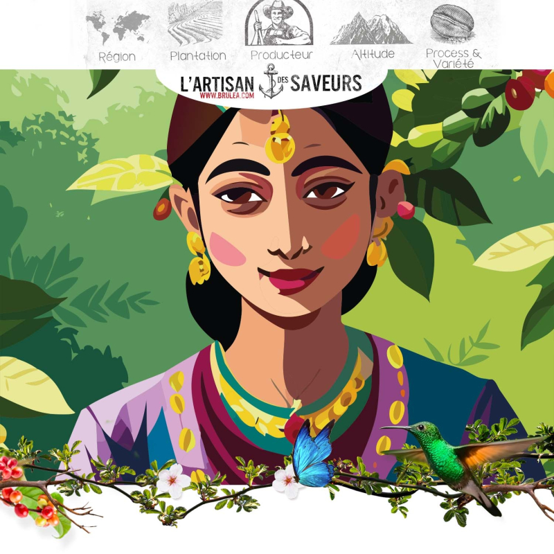 Café en grains de l'Inde - Malabar Moussonné - 250 gr