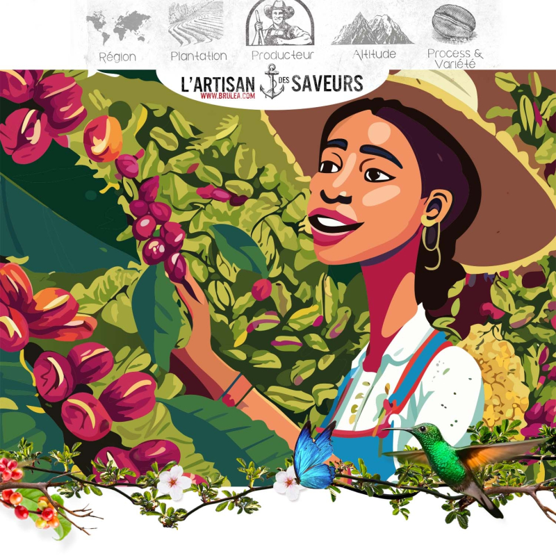 Café en grains de Cuba - Serrano Maestra - 250 gr