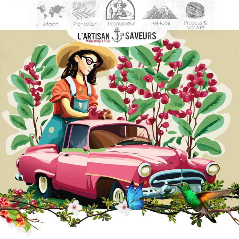 Café en grains de Cuba - Serrano Maestra - 250 gr