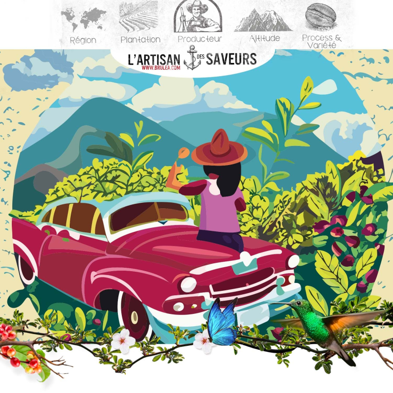 Café en grains de Cuba - Serrano Maestra - 250 gr