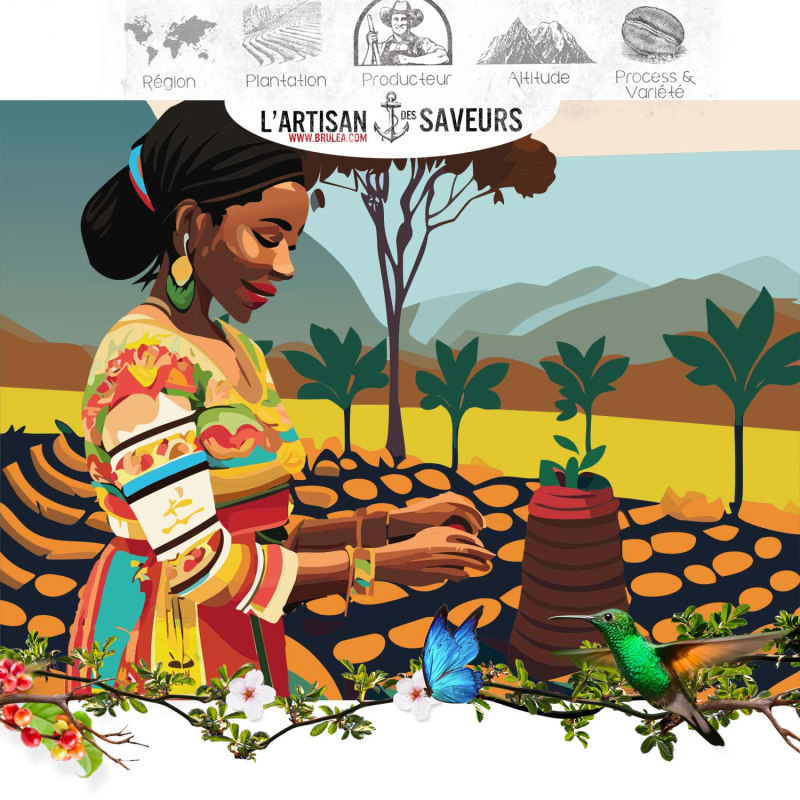 Café moulu Negele Gorbitu  d'Éthiopie torréfié - 250gr 2