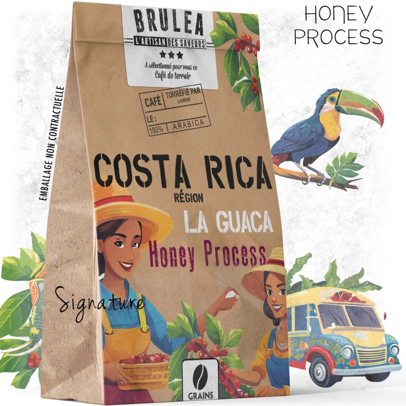 Café en grains Costa Rica - Processus Honey - 250gr