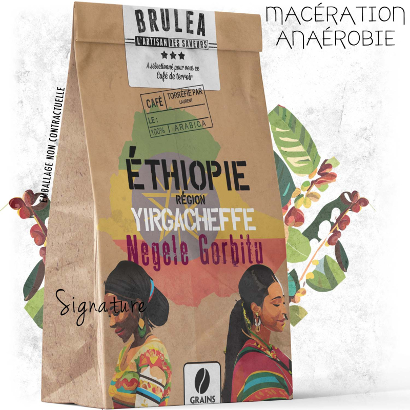 Café en grains Negele Gorbitu d'Éthiopie torréfié - Yrgacheffe - 250gr