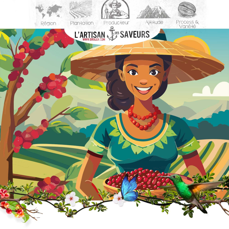 Café en grains Eira Rua du Brésil – Process Honey – notes de chocolat, fruits secs et zeste d’orange.