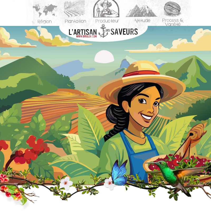 Café en grains Yunumu – Nicaragua – Lavé macération XL – 250 g