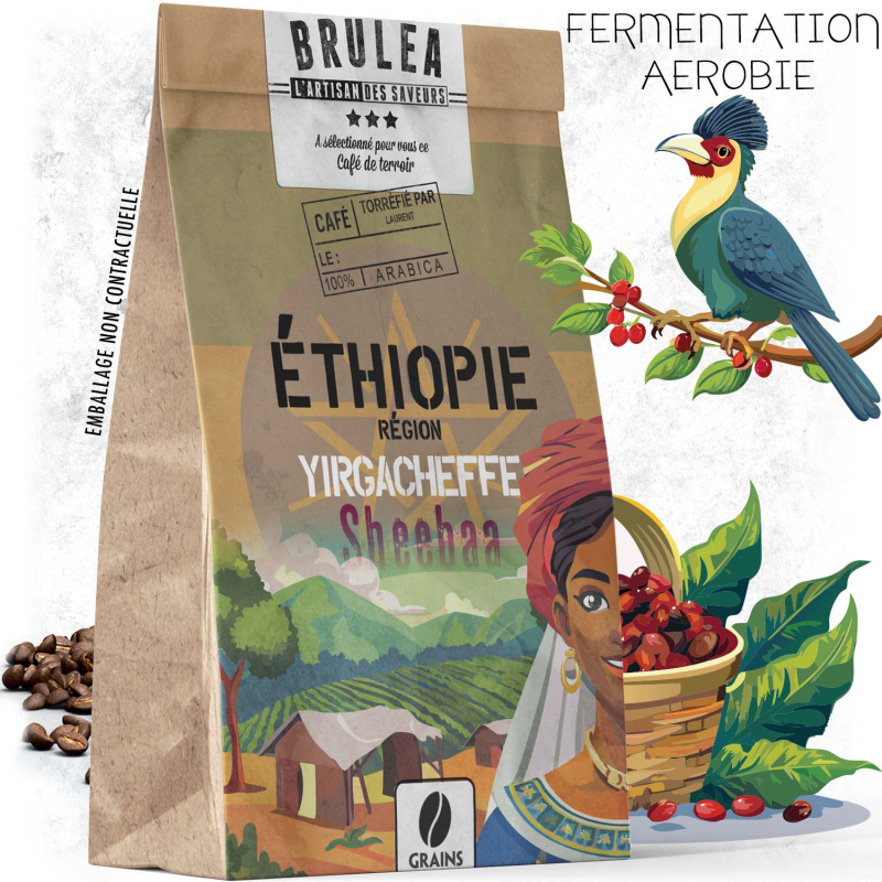 Café en grains Sheebaa – Éthiopie – Yirgacheffe – Washed-Ferment – 250 g