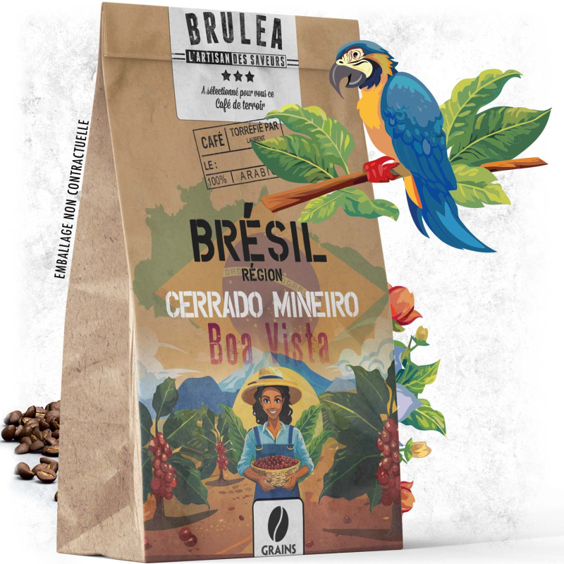 Café de spécialité Brésil Sundrop – Natural | Brûléa