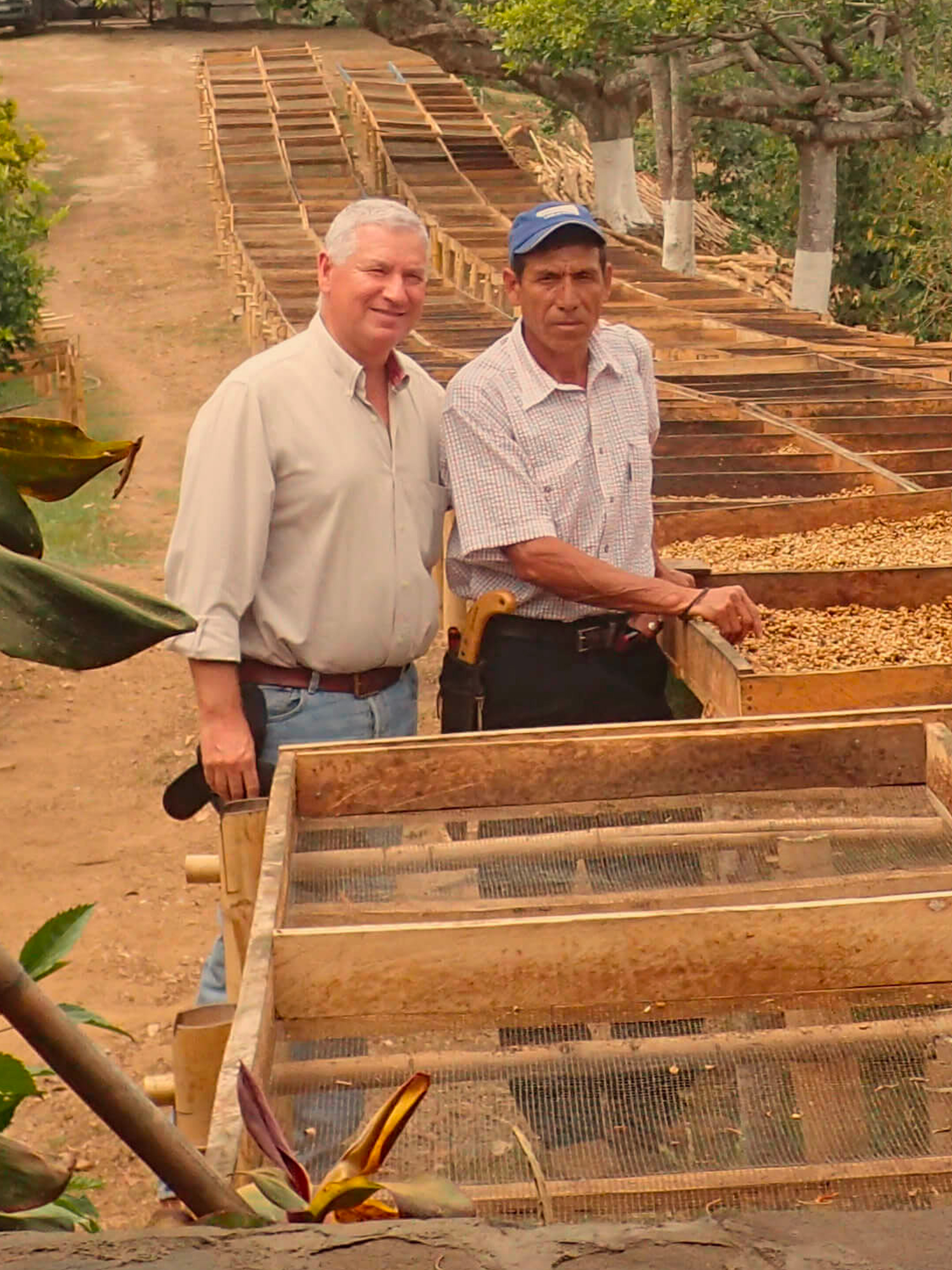 Café en grain Ahuachapan du Salvador – Le café qui fume